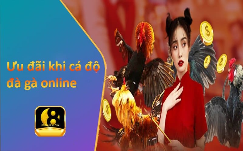 Ưu đãi khi cá độ đá gà 888b